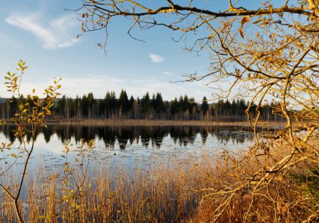 Lac de Malpas