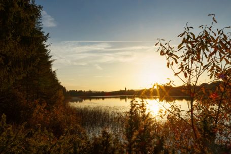 Lac de Malpas